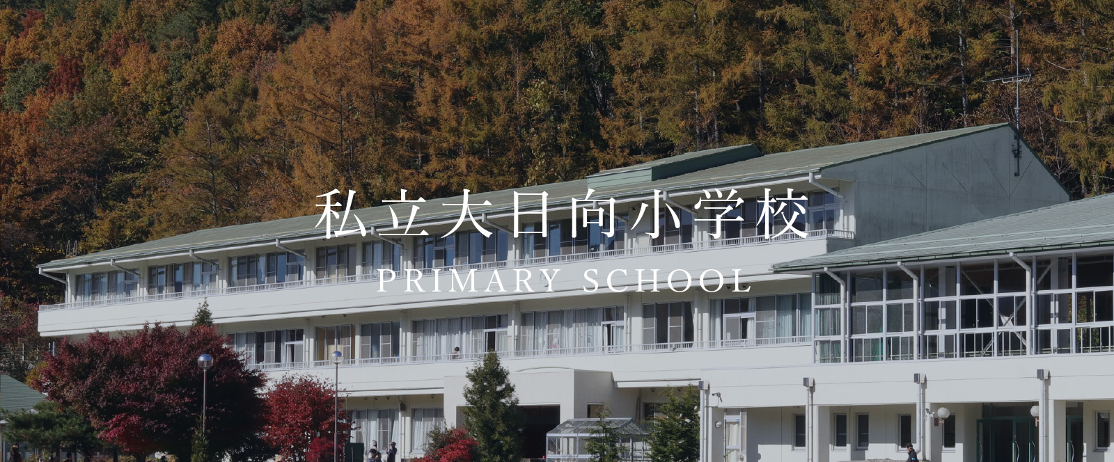 私立大日向小学校