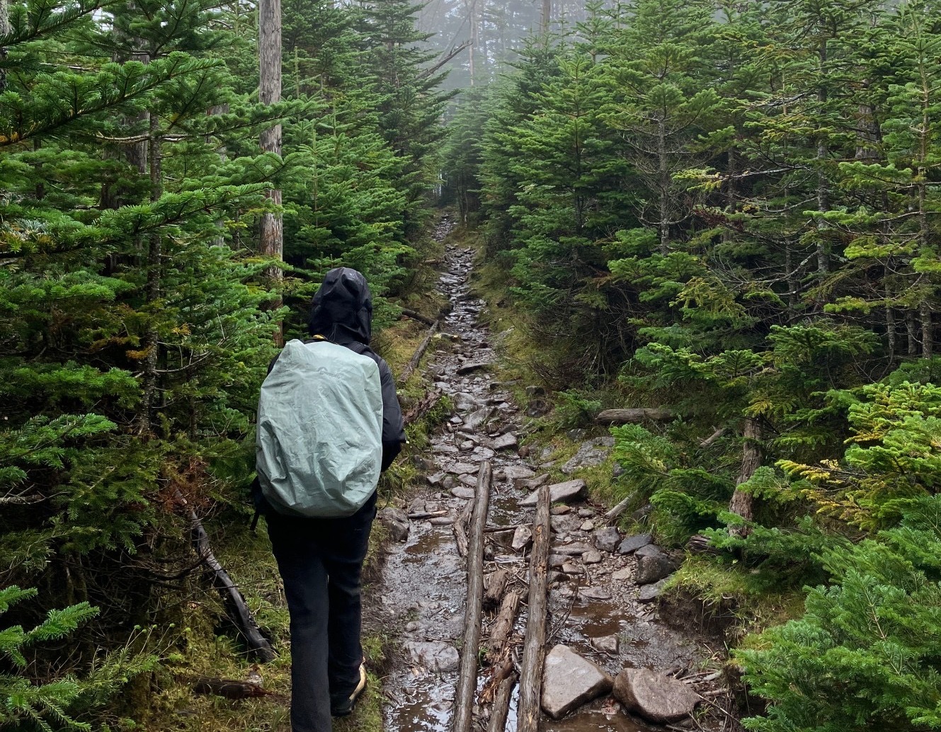 【佐久穂移住日記Vol.1】横浜市から佐久穂町へ