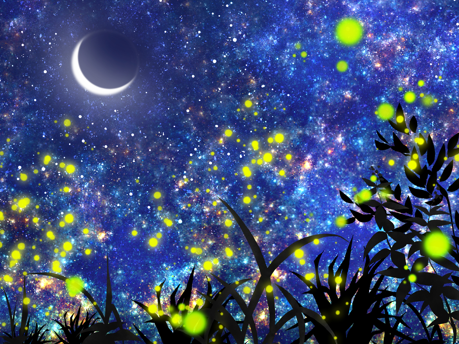 夏の夜に舞う光 ～蛍～
