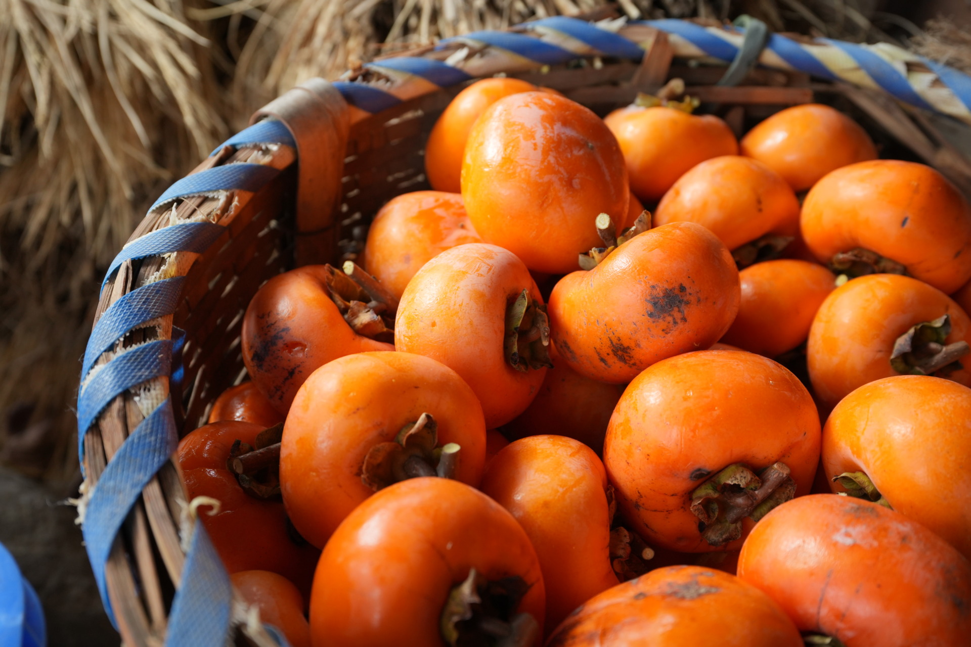 干し柿の季節がやってきました